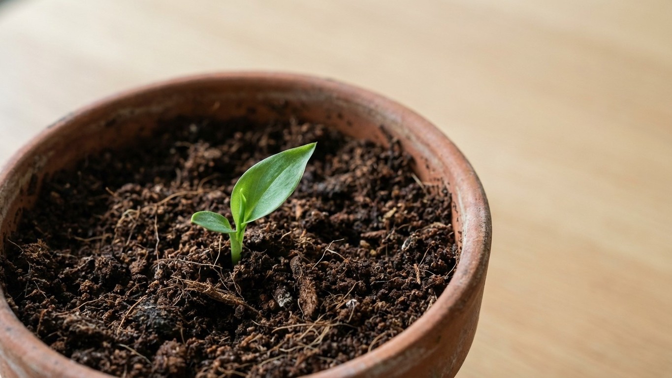 Stop Killing Your Soil: What Happens When You Stop Over-Fertilizing