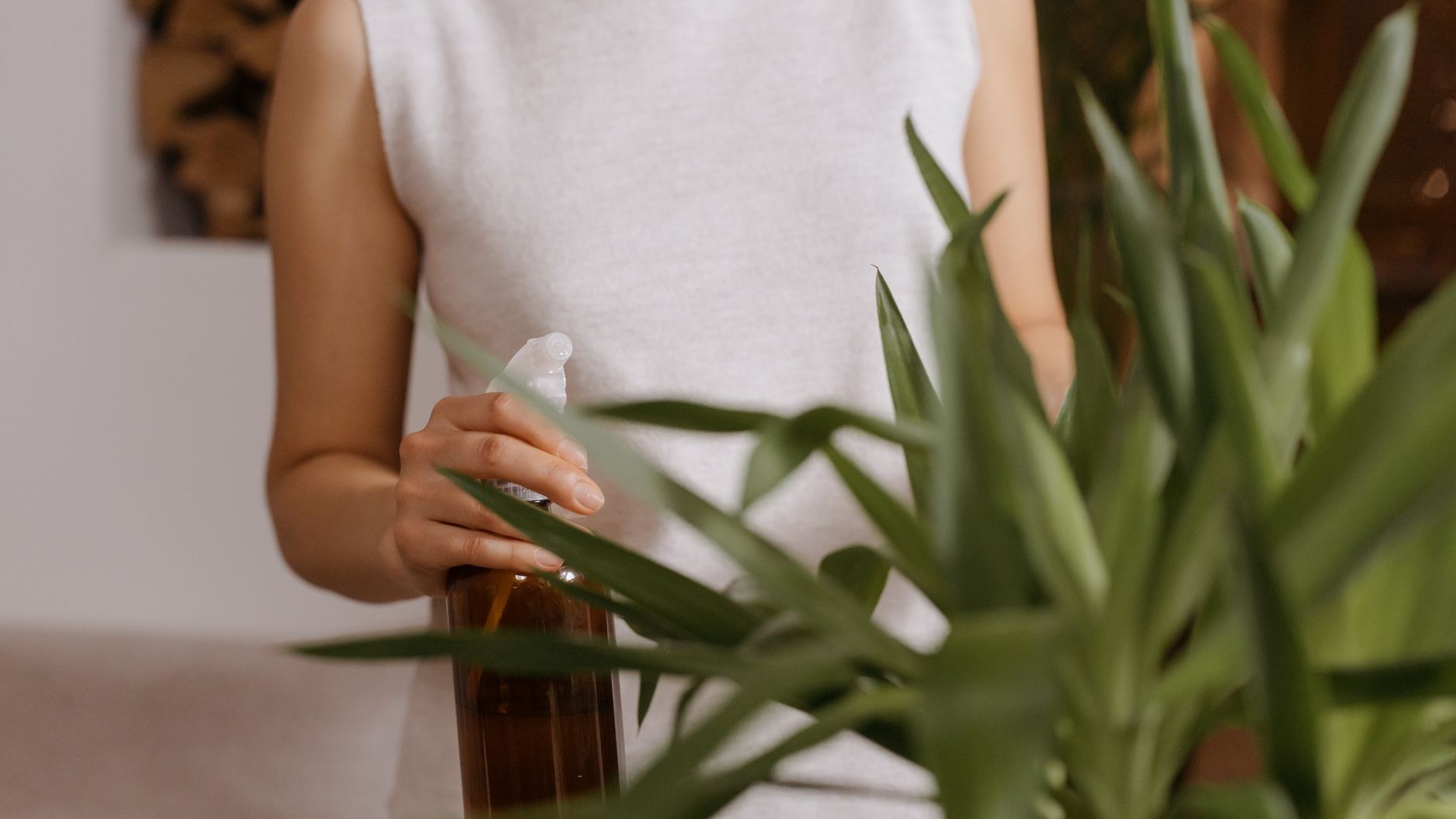 Why Leaf-Shine Spray Is Slowly Suffocating Your Houseplants