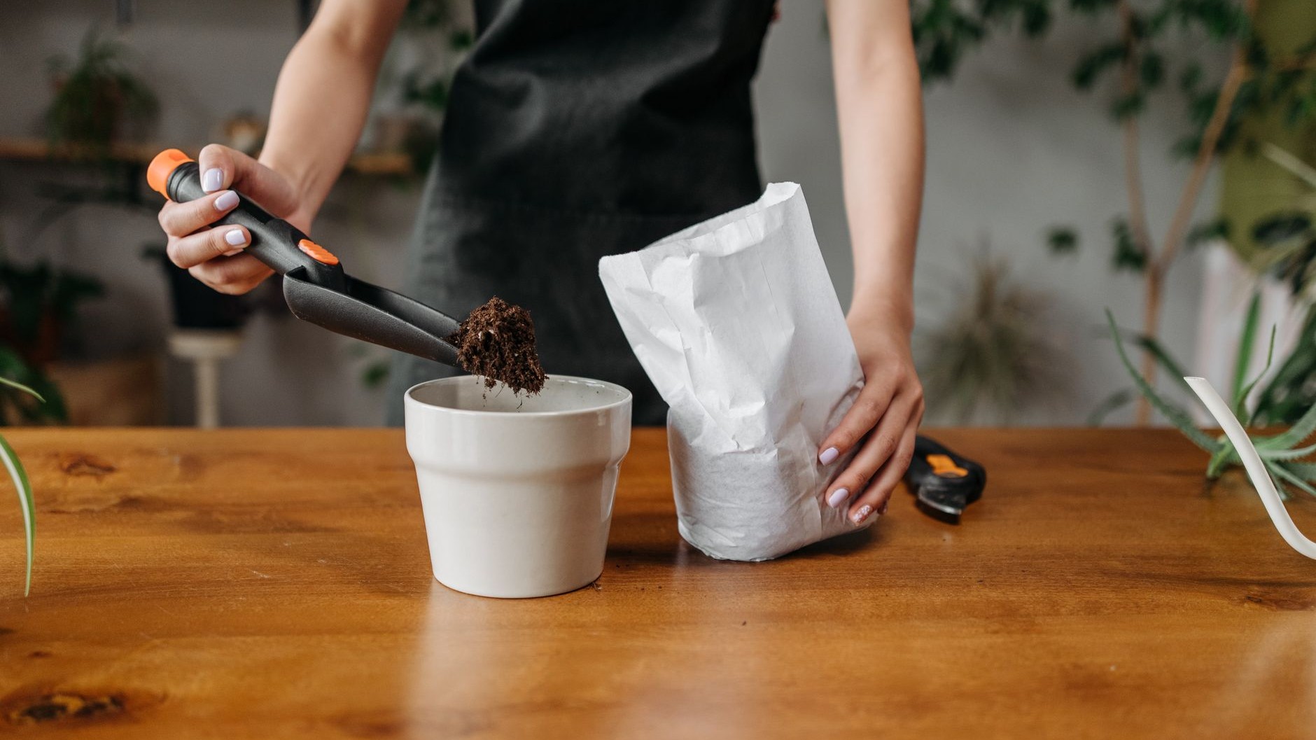 I dusted diatomaceous earth over my houseplant pots just to be rid of the fungus gnats: after one watering, I understood w...