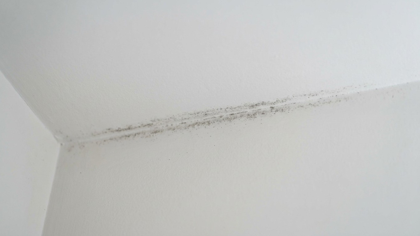 I left the extractor grille in my bathroom untouched for two years just because it sat too high to reach: the day the blac...