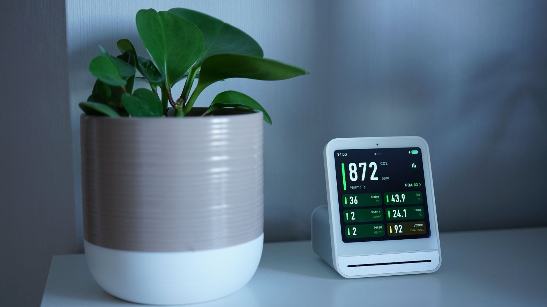 I paid over €40 for a connected moisture sensor: the evening I pulled it out of the pot, I understood what it had really b...